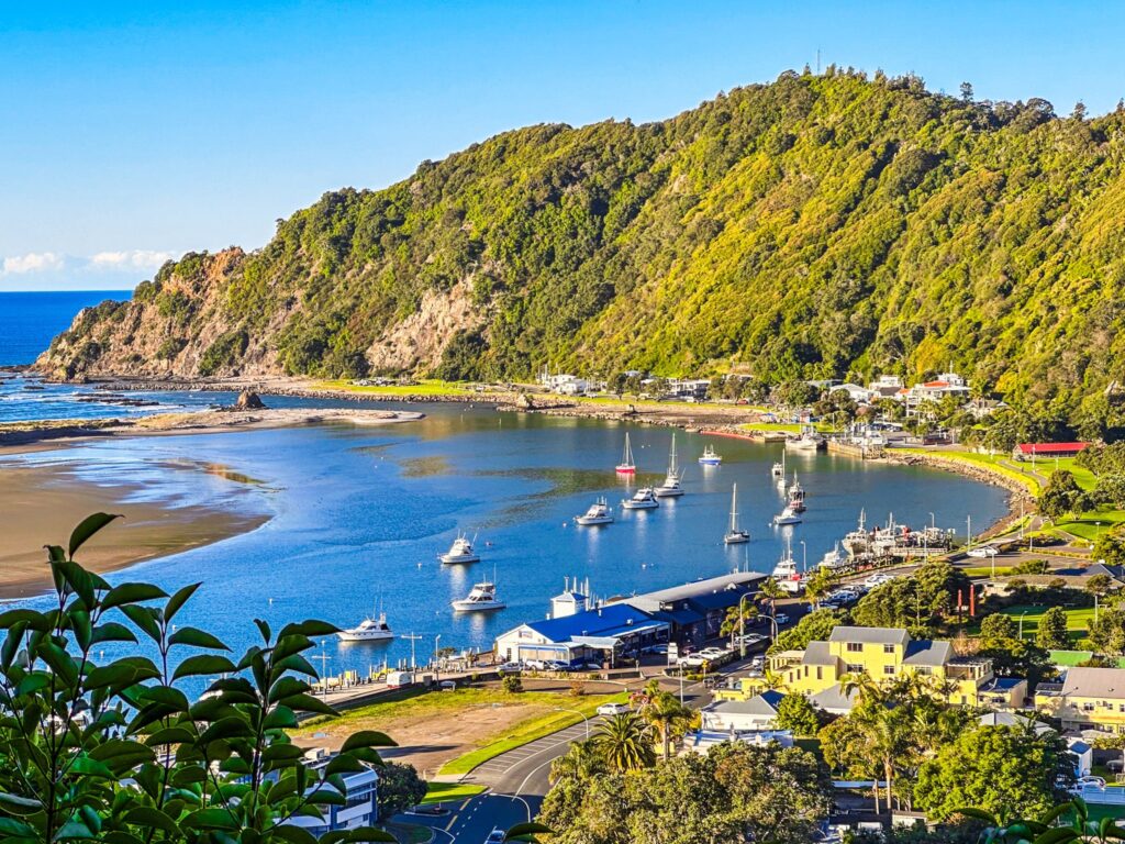 aerial view of river estuary and green hills