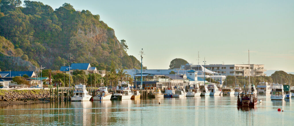 boats docked at Whakatāne harbour