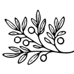 Olive Branch Logo in Whakatāne, New Zealand