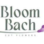 bloom bach logo